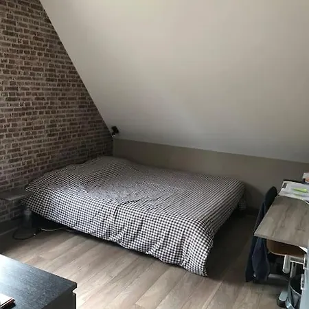 别墅 Propriete De Charme Avec Piscine Interieure Lille *