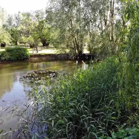 La Maison Du Avec Piscine- Les Demeures D'adrien Villa *