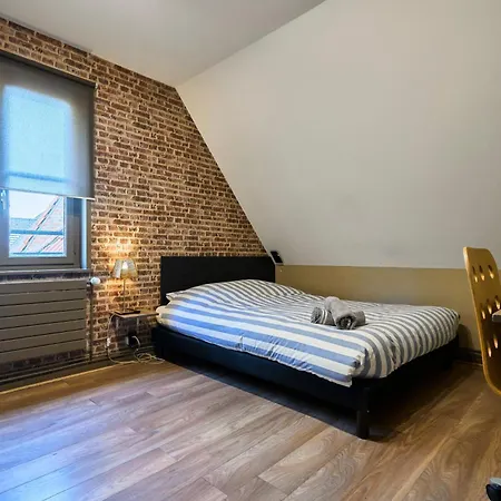 La Maison Du Avec Piscine- Les Demeures D'adrien Villa Marcq-en-Baroeul