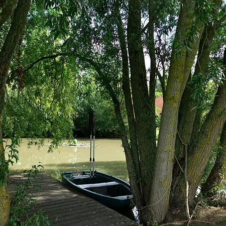 Villa La Maison Du Avec Piscine- Les Demeures D'adrien Marcq-en-Baroeul